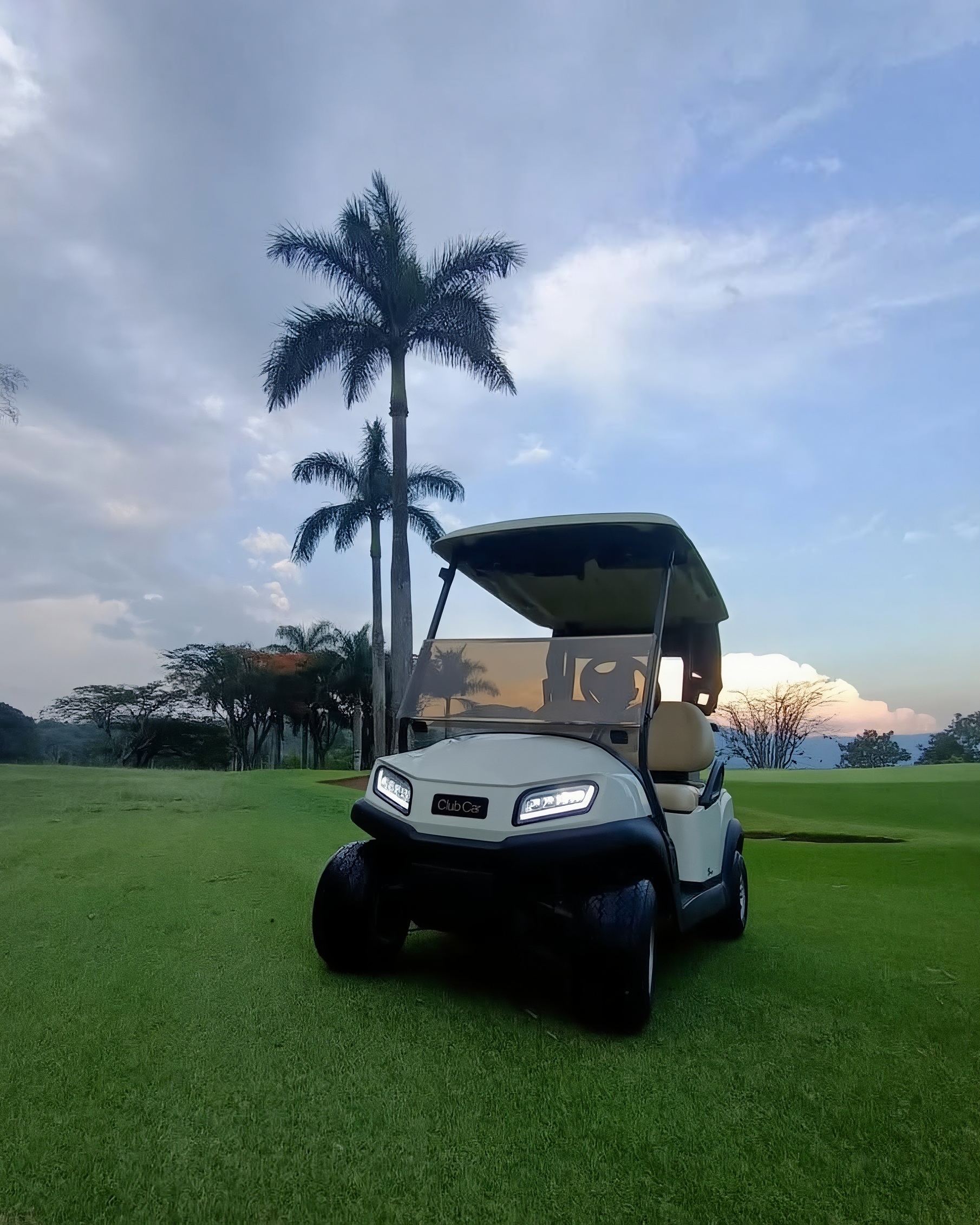 Club Car Tempo de GoGolf GT sobre el césped, con palmeras al atardecer
